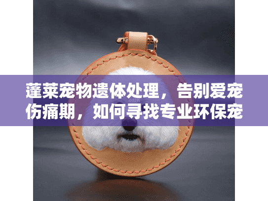 蓬莱宠物遗体处理，告别爱宠伤痛期，如何寻找专业环保宠物火化服务？