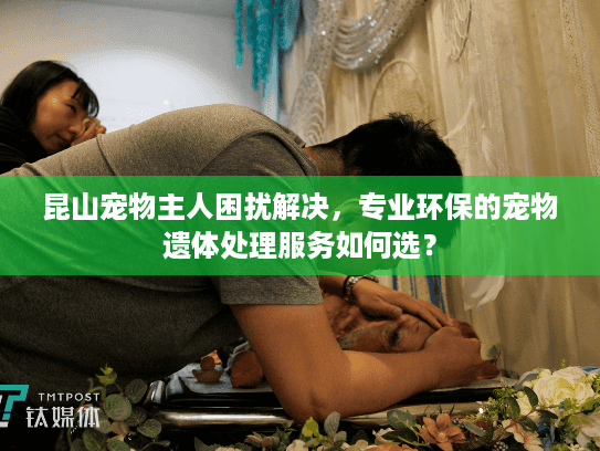 昆山宠物主人困扰解决，专业环保的宠物遗体处理服务如何选？