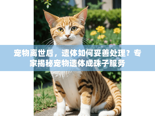 宠物离世后，遗体如何妥善处理？专家揭秘宠物遗体成珠子服务