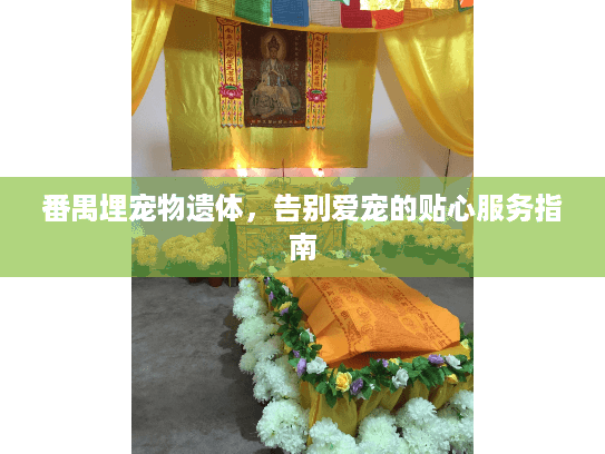 番禺埋宠物遗体，告别爱宠的贴心服务指南