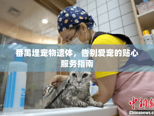 番禺埋宠物遗体，告别爱宠的贴心服务指南