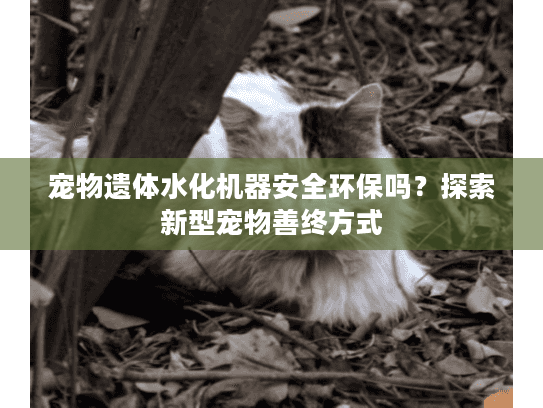 宠物遗体水化机器安全环保吗？探索新型宠物善终方式