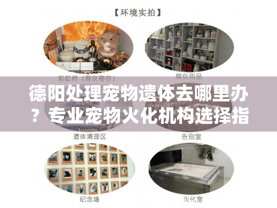 德阳处理宠物遗体去哪里办？专业宠物火化机构选择指南