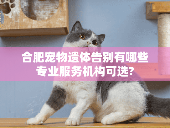 合肥宠物遗体告别有哪些专业服务机构可选?