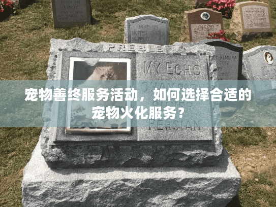 宠物善终服务活动，如何选择合适的宠物火化服务？