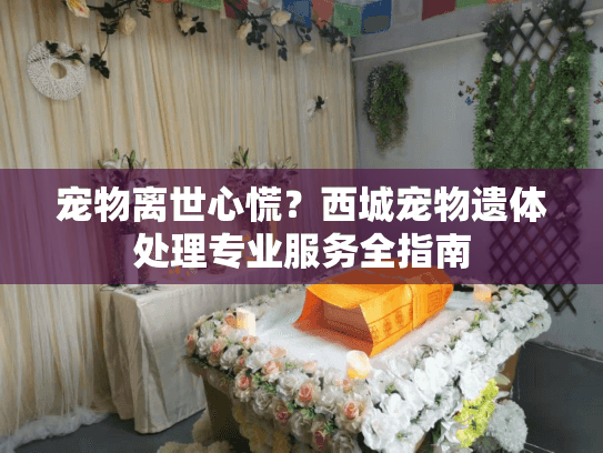 宠物离世心慌？西城宠物遗体处理专业服务全指南