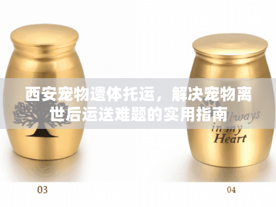 西安宠物遗体托运，解决宠物离世后运送难题的实用指南