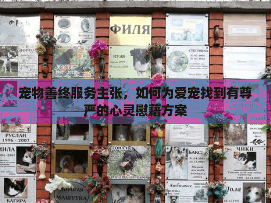 宠物善终服务主张，如何为爱宠找到有尊严的心灵慰藉方案