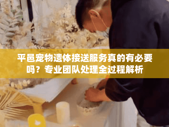 平邑宠物遗体接送服务真的有必要吗？专业团队处理全过程解析