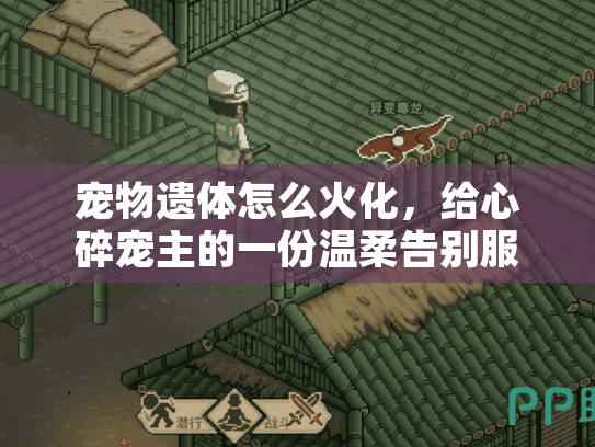 宠物遗体怎么火化，给心碎宠主的一份温柔告别服务指南
