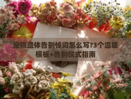 宠物遗体告别悼词怎么写?3个温暖模板+告别仪式指南