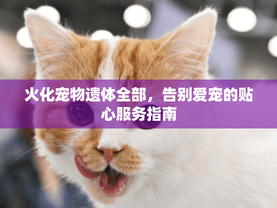 火化宠物遗体全部，告别爱宠的贴心服务指南