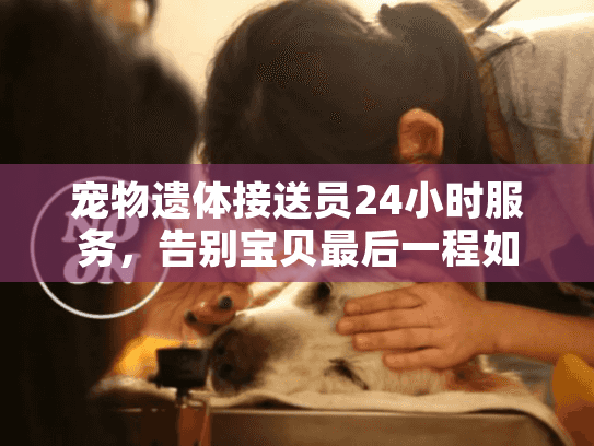 宠物遗体接送员24小时服务，告别宝贝最后一程如何体面完成？