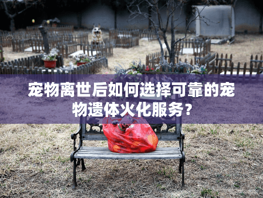 宠物离世后如何选择可靠的宠物遗体火化服务？