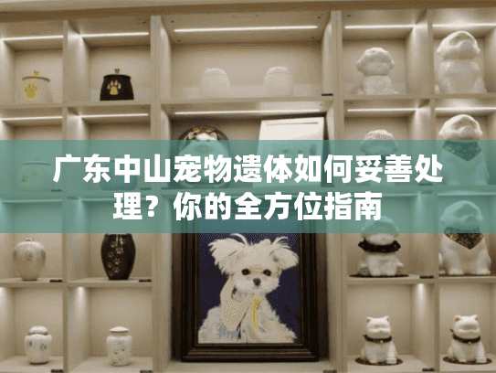 广东中山宠物遗体如何妥善处理？你的全方位指南