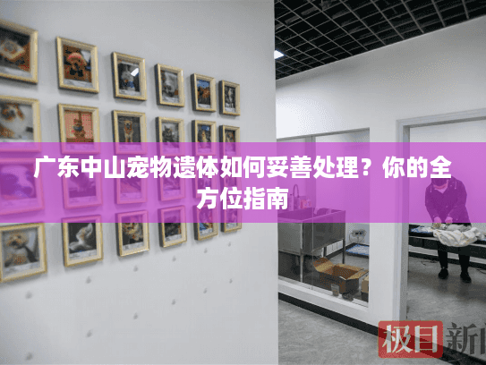 广东中山宠物遗体如何妥善处理？你的全方位指南