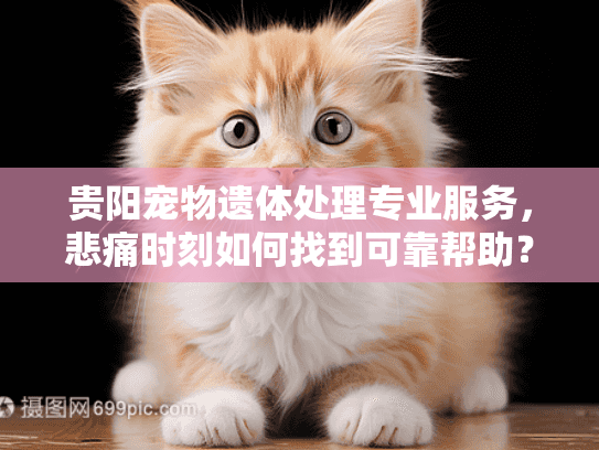 贵阳宠物遗体处理专业服务,悲痛时刻如何找到可靠帮助? 贵阳宠物遗体处理专业服务,悲痛时刻如何找到可靠帮助?
