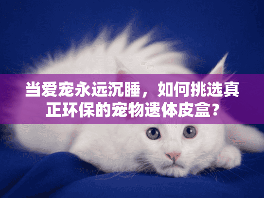 当爱宠永远沉睡,如何挑选真正环保的宠物遗体皮盒? 当爱宠永远沉睡,如何挑选真正环保的宠物遗体皮盒?