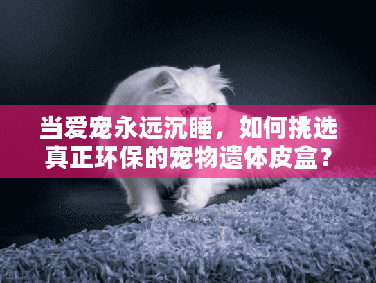 当爱宠永远沉睡,如何挑选真正环保的宠物遗体皮盒? 当爱宠永远沉睡,如何挑选真正环保的宠物遗体皮盒?