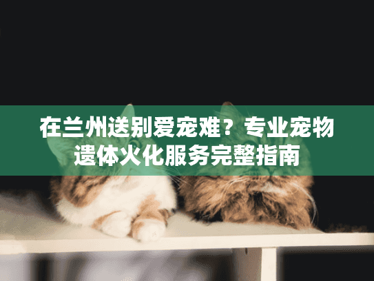 在兰州送别爱宠难？专业宠物遗体火化服务完整指南