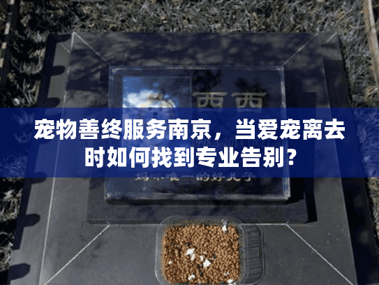 宠物善终服务南京，当爱宠离去时如何找到专业告别？