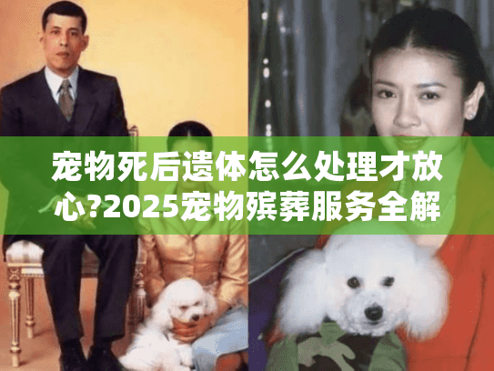 宠物死后遗体怎么处理才放心?2025宠物殡葬服务全解析