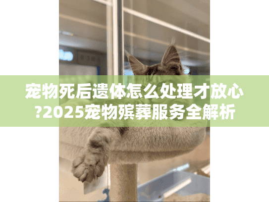 宠物死后遗体怎么处理才放心?2025宠物殡葬服务全解析