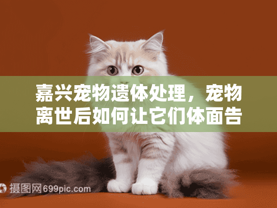 嘉兴宠物遗体处理，宠物离世后如何让它们体面告别？