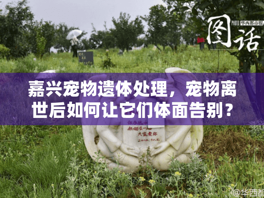 嘉兴宠物遗体处理，宠物离世后如何让它们体面告别？