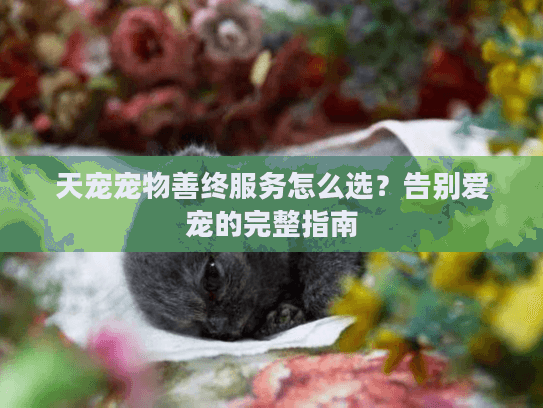 天宠宠物善终服务怎么选？告别爱宠的完整指南