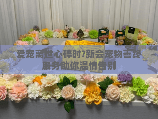 爱宠离世心碎时?新会宠物善终服务助你温情告别