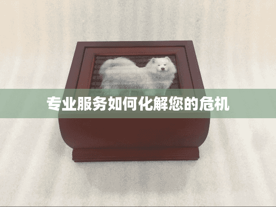 专业服务如何化解您的危机