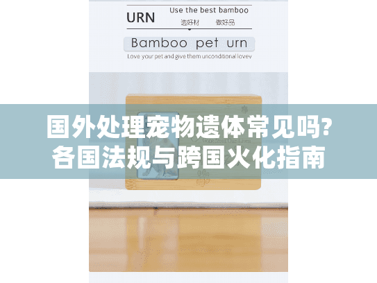国外处理宠物遗体常见吗?各国法规与跨国火化指南