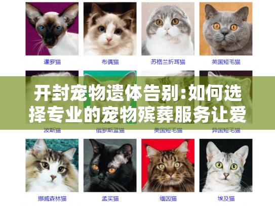 开封宠物遗体告别:如何选择专业的宠物殡葬服务让爱宠安详离去?