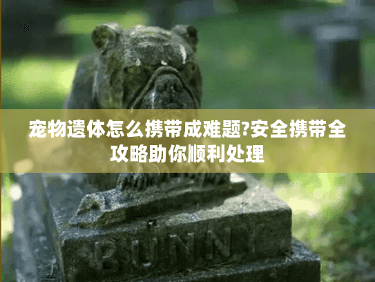 宠物遗体怎么携带成难题?安全携带全攻略助你顺利处理