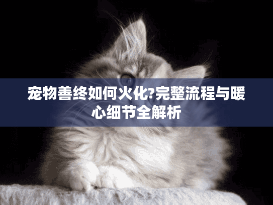 宠物善终如何火化?完整流程与暖心细节全解析