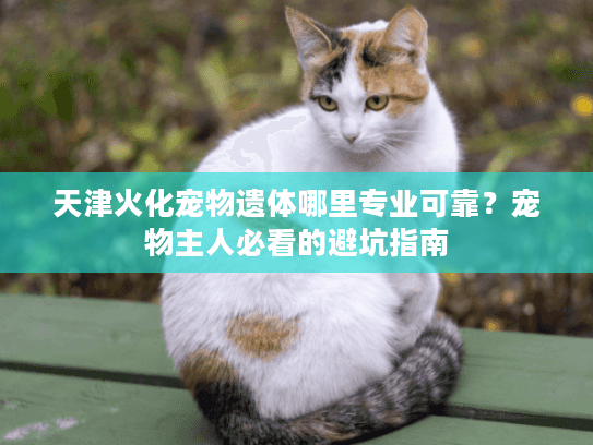 天津火化宠物遗体哪里专业可靠？宠物主人必看的避坑指南