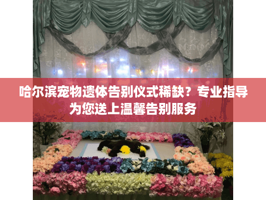 哈尔滨宠物遗体告别仪式稀缺？专业指导为您送上温馨告别服务