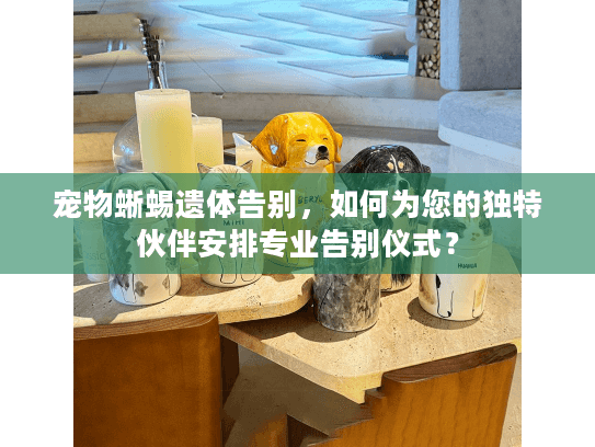 宠物蜥蜴遗体告别，如何为您的独特伙伴安排专业告别仪式？
