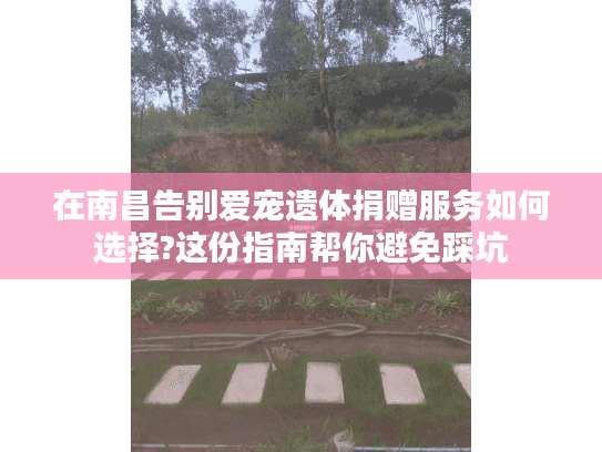 在南昌告别爱宠遗体捐赠服务如何选择?这份指南帮你避免踩坑