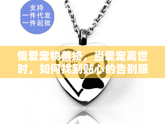 恒爱宠物善终，当爱宠离世时，如何找到贴心的告别服务？