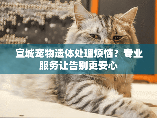 宣城宠物遗体处理烦恼？专业服务让告别更安心