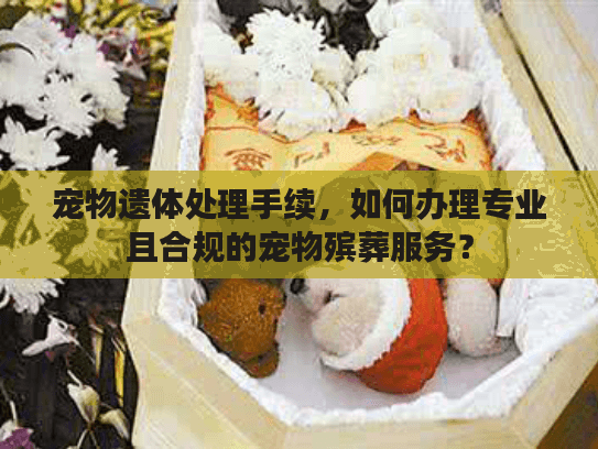 宠物遗体处理手续，如何办理专业且合规的宠物殡葬服务？