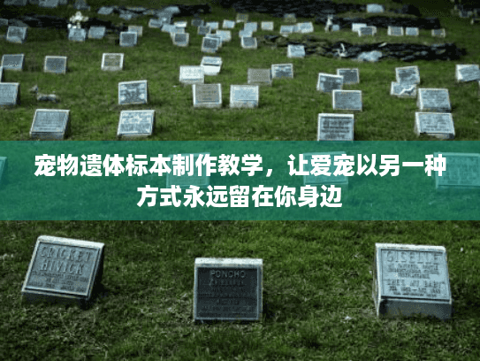 宠物遗体标本制作教学，让爱宠以另一种方式永远留在你身边