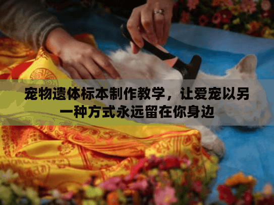 宠物遗体标本制作教学，让爱宠以另一种方式永远留在你身边
