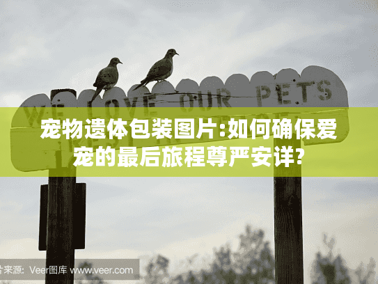 宠物遗体包装图片:如何确保爱宠的最后旅程尊严安详?