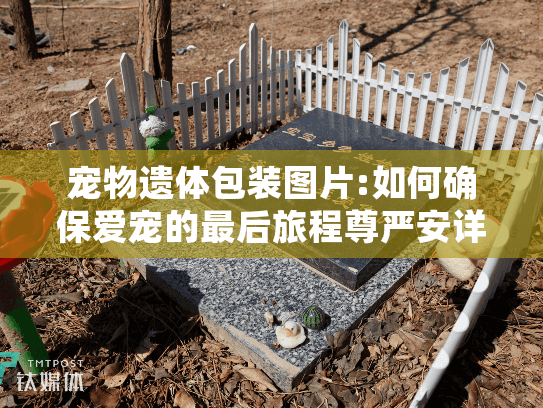 宠物遗体包装图片:如何确保爱宠的最后旅程尊严安详?