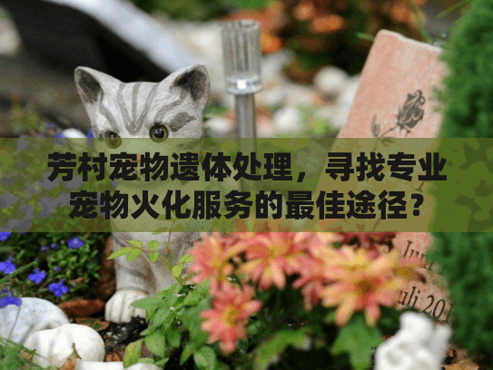芳村宠物遗体处理，寻找专业宠物火化服务的最佳途径？