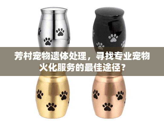 芳村宠物遗体处理，寻找专业宠物火化服务的最佳途径？