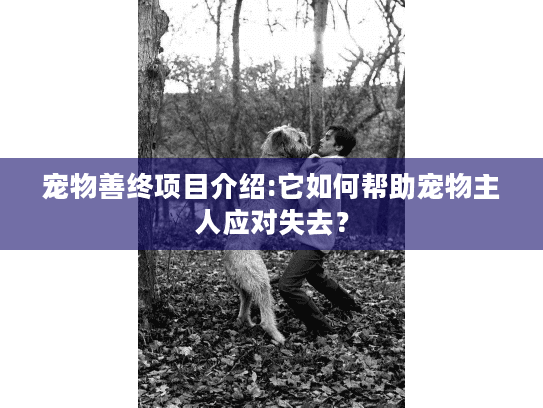宠物善终项目介绍:它如何帮助宠物主人应对失去？